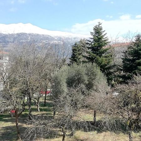 Appartamento Gks Park View Giannina Esterno foto